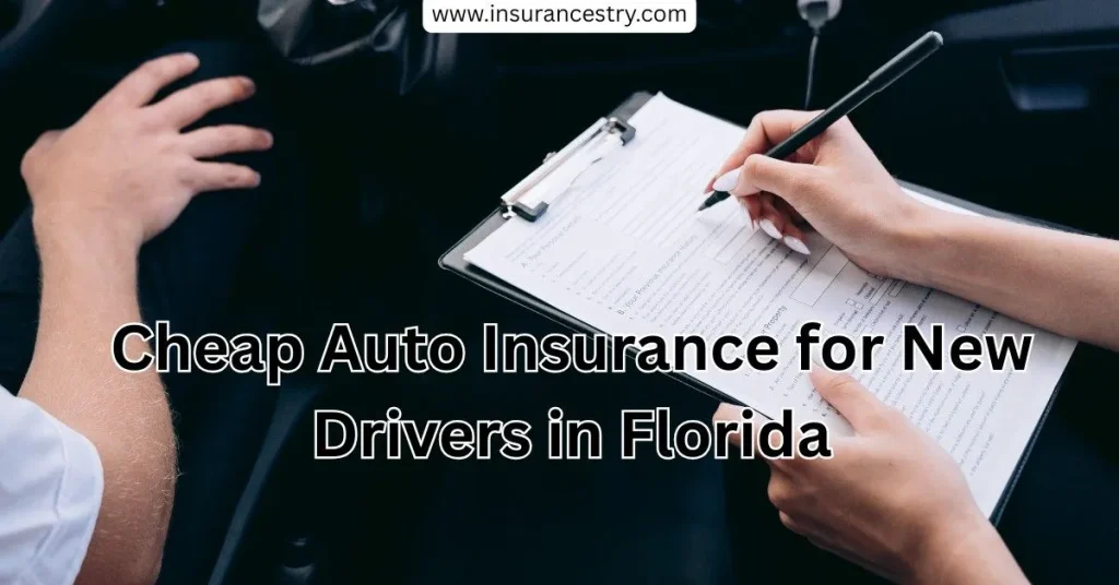 Cheap Auto Insurance for New Drivers in Florida